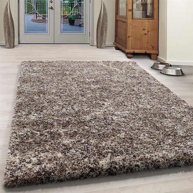 Shaggy Rug Trellis DESIGN Modern Rugs Living Room Extra Large Small Rectangular Size Soft Touch Thick Fluffy Pile Living Room Area Rugs Non Shedding (ENJ BEIGE, 80X150CM)
