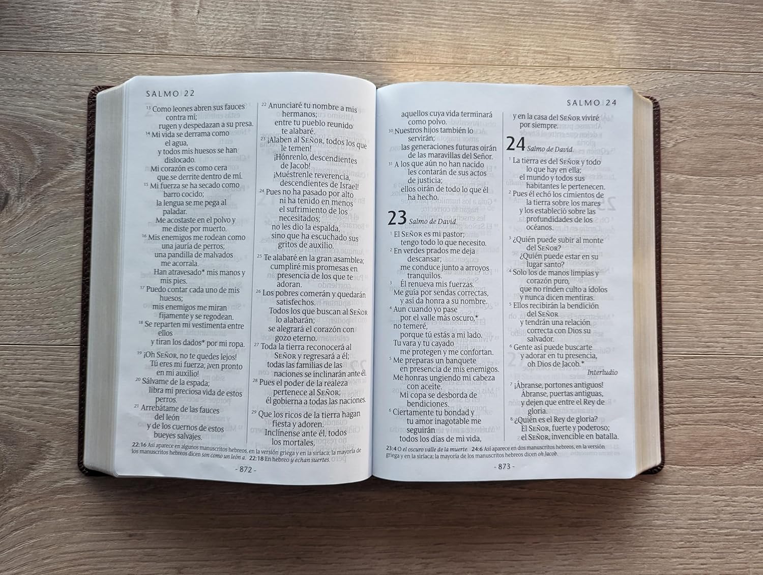 Santa Biblia NTV, letra súper gigante (SentiPiel, Café oscuro , Índice, Letra Roja) (Spanish Edition)      Imitation Leather – Large Print, November 7, 2023