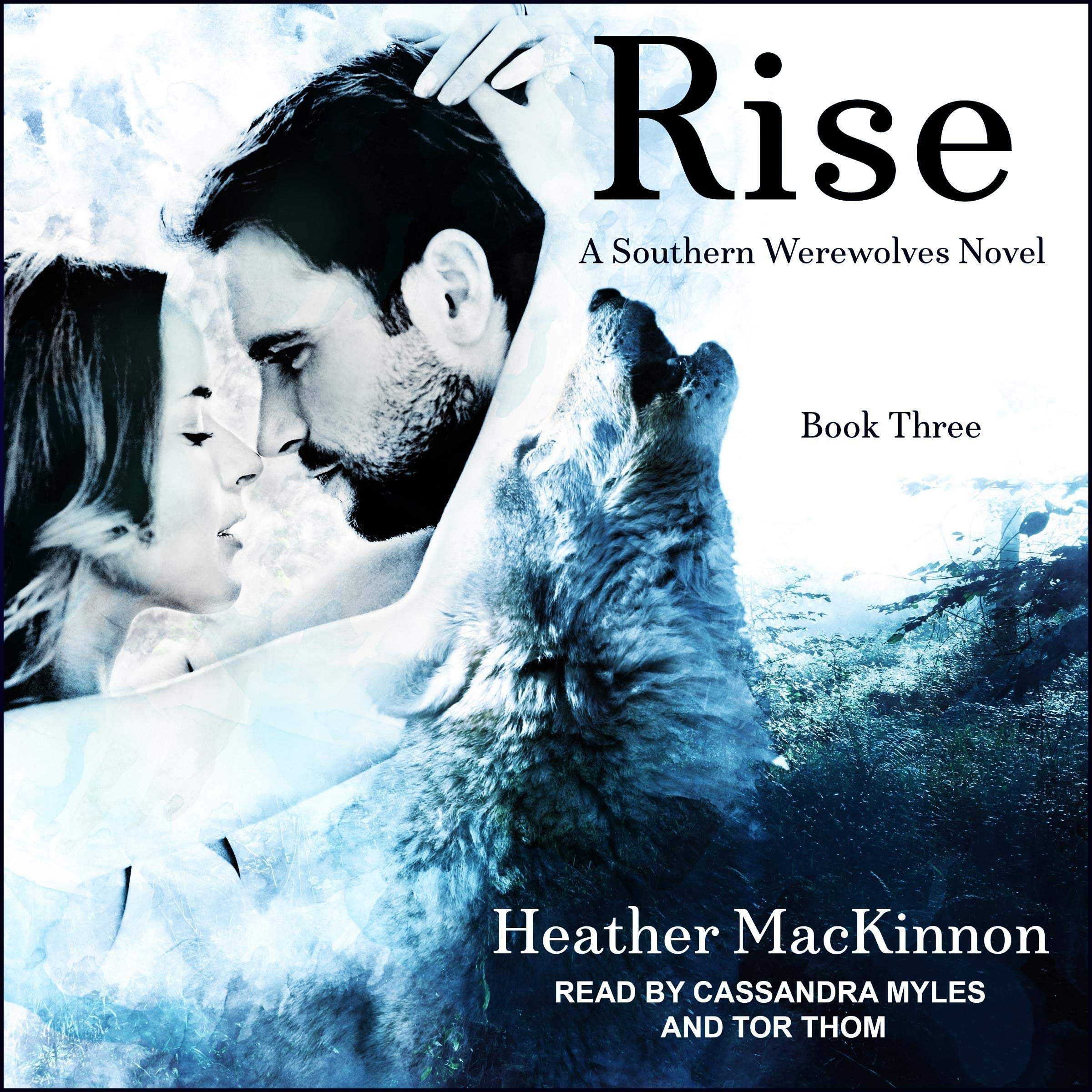 Cover art for Rise
