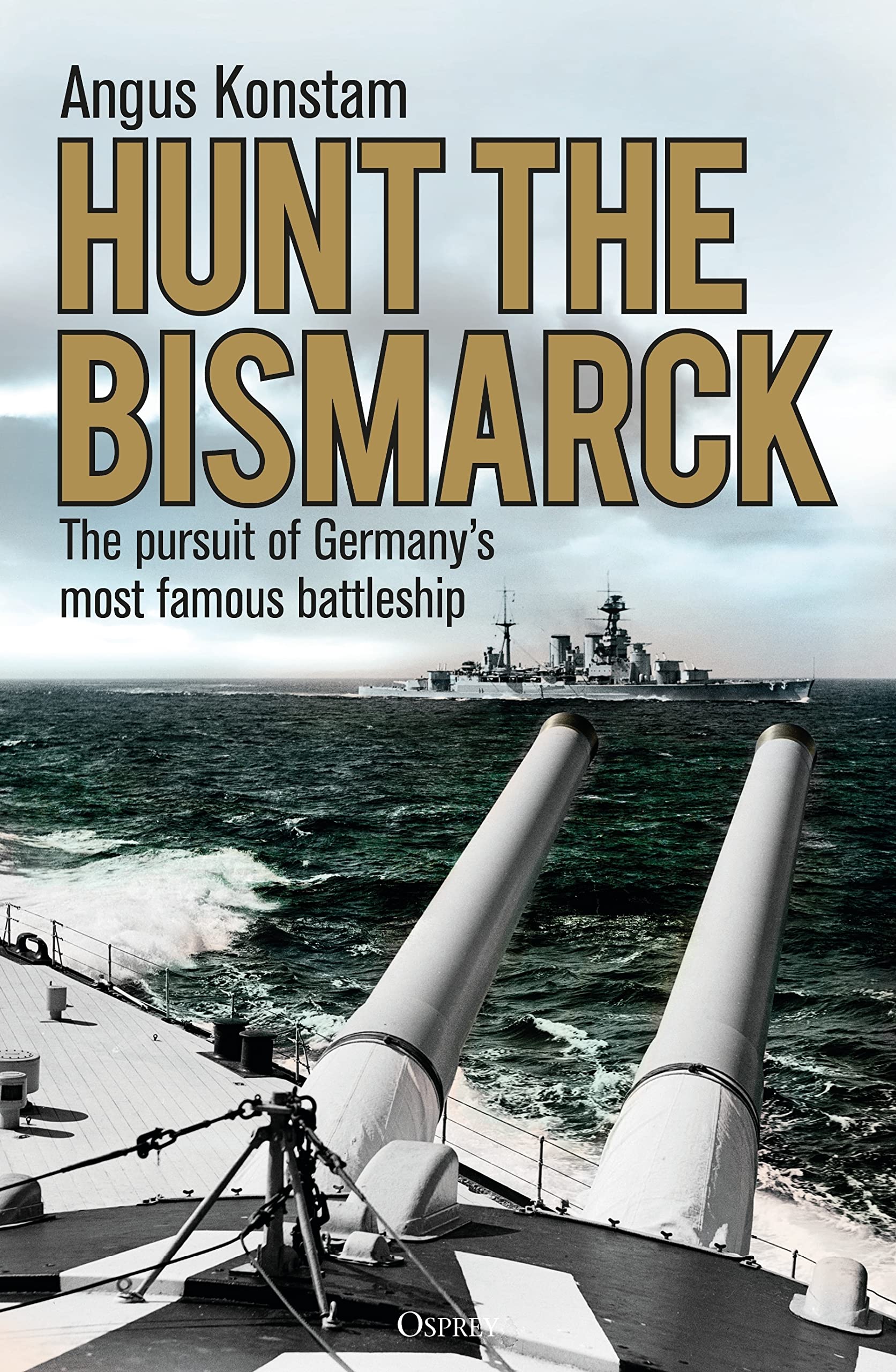 Hunt the Bismarck: The pursuit of Germany's most famous battlesh