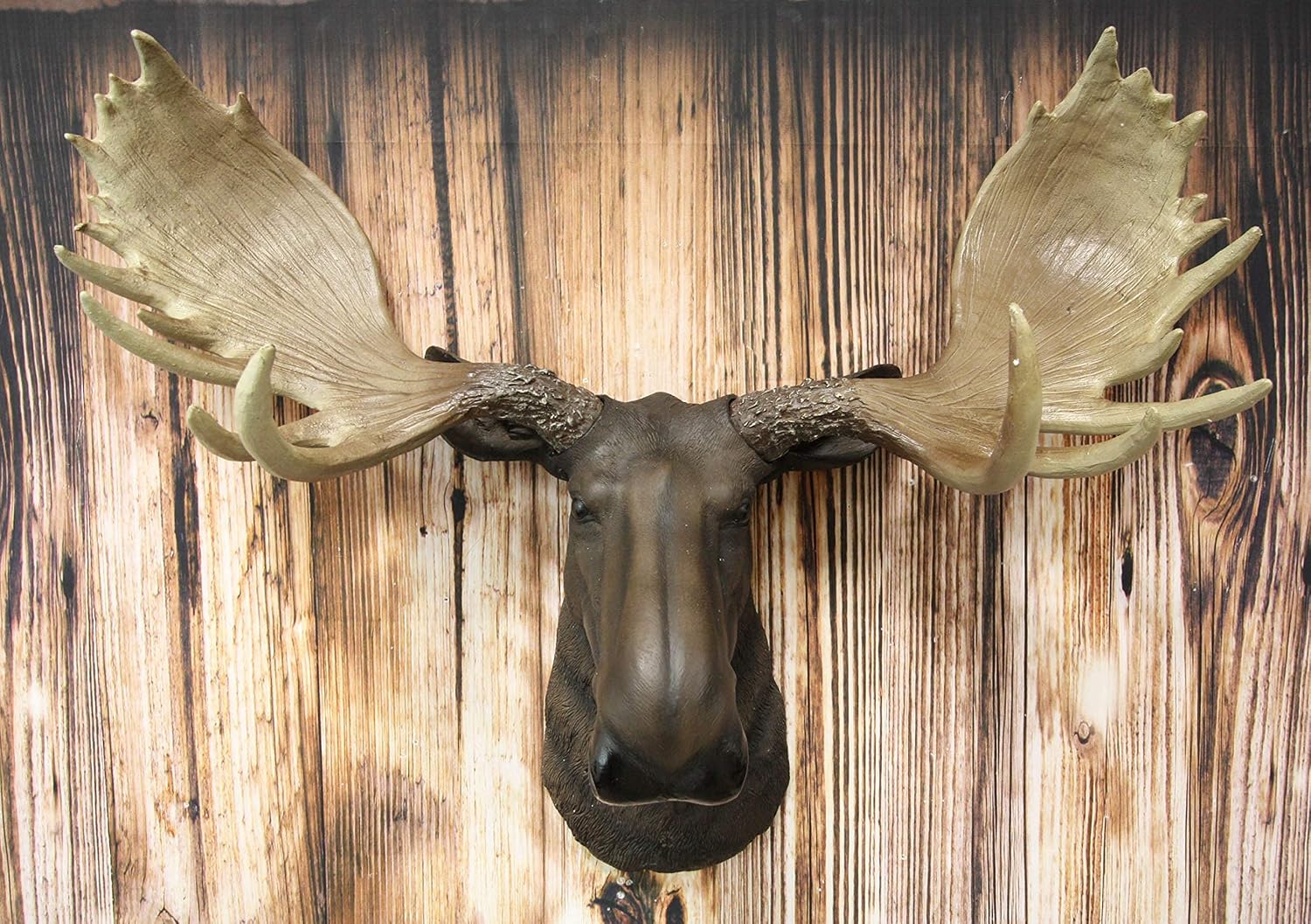 Ebros Gift Wildlife Taxidermy North American Bull Moose With Antlers Trophy Head Wall Decor 24" Wide Wall Mount Plaque Sculpture Figurine Antler Decor Rustic Western Hanging Accent