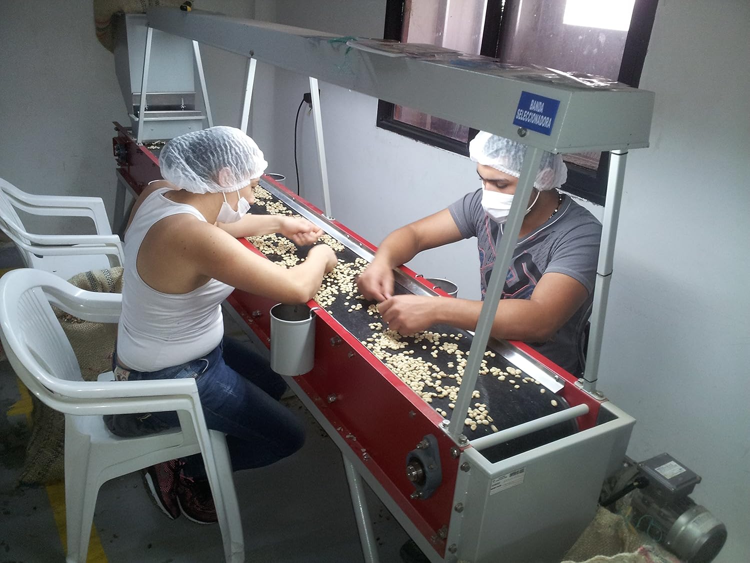 Unroasted Colombian Green Coffee Beans Single Origin Farm El Nivel (50 Lb)