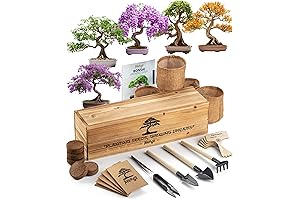 Bonsai Tree Kit: Grow 5 Unique Japanese Bonzai Trees