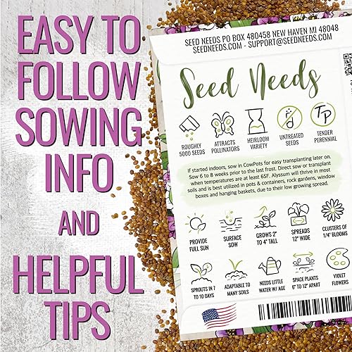 Miniatura 4 de Seed Needs Royal Carpet Alyssum Semillas para plantar, reliquia y sin tratar, tiernas flores perennes para atraer polinizadores a jardines de rocas,