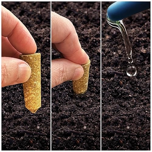 Miniatura 3 de The Old Farmer's Almanac Mini picos de tomate y vegetales, NPK 6-4-6 para alimentación continua y cosechas abundantes (24 mini picos)