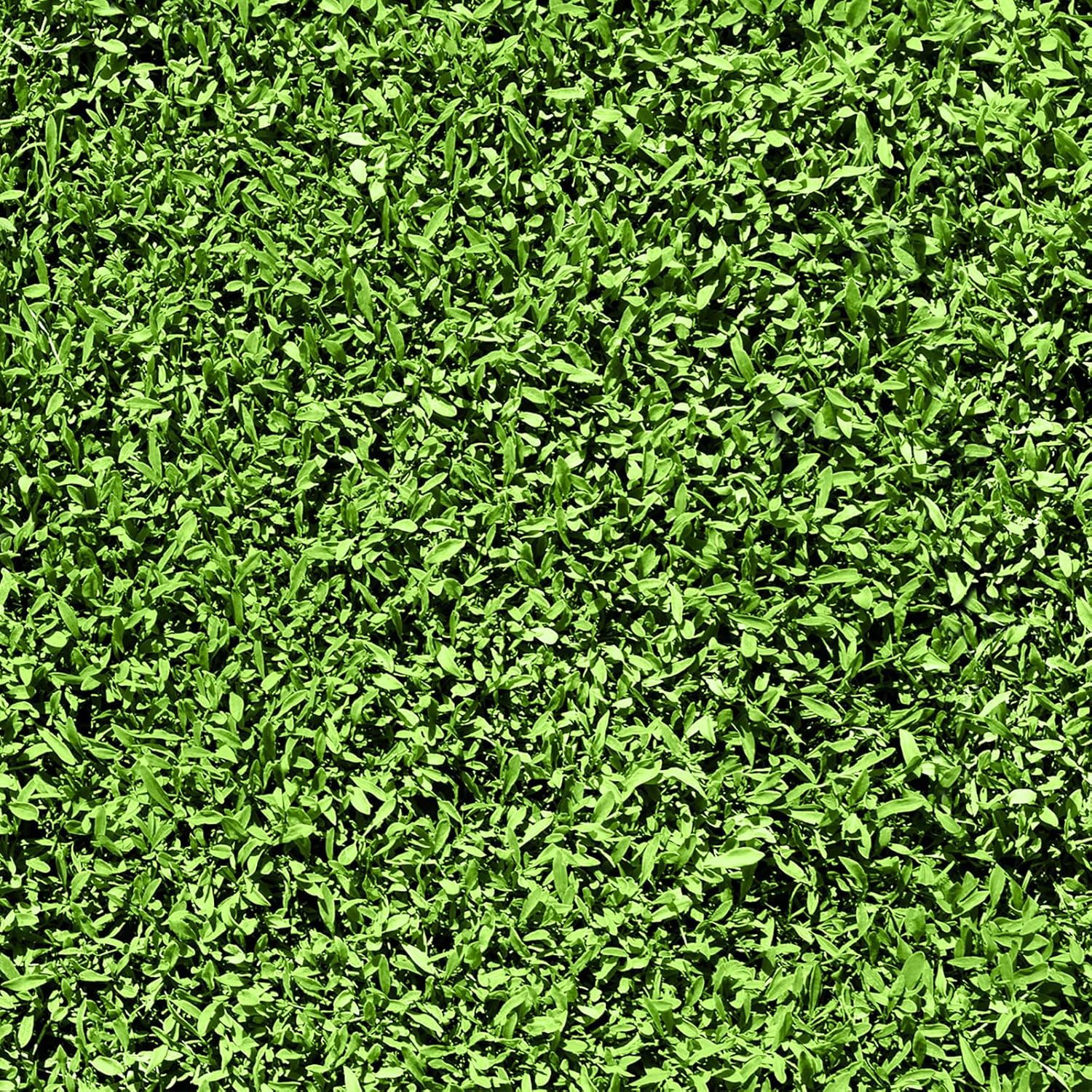 FunStick 17.5"x354" Botanical Green Peel and Stick Wallpaper Greenery Grass Leaves Wallpaper for Bedroom Living Room Waterproof Self Adhesive Green Contact Paper for Cabinets Wall Backdrop Vinyl Roll