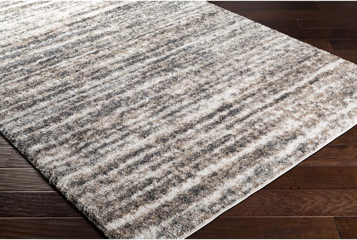 Livabliss Hazel Modern Shag Area Rug,5'3" x 7'3",‎Charcoal/Beige