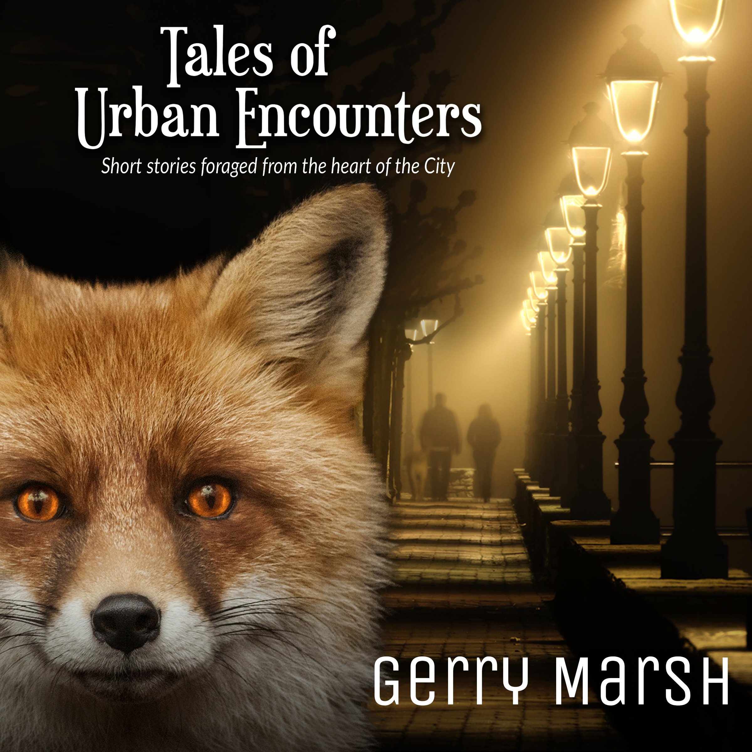 Tales of Urban Encounters