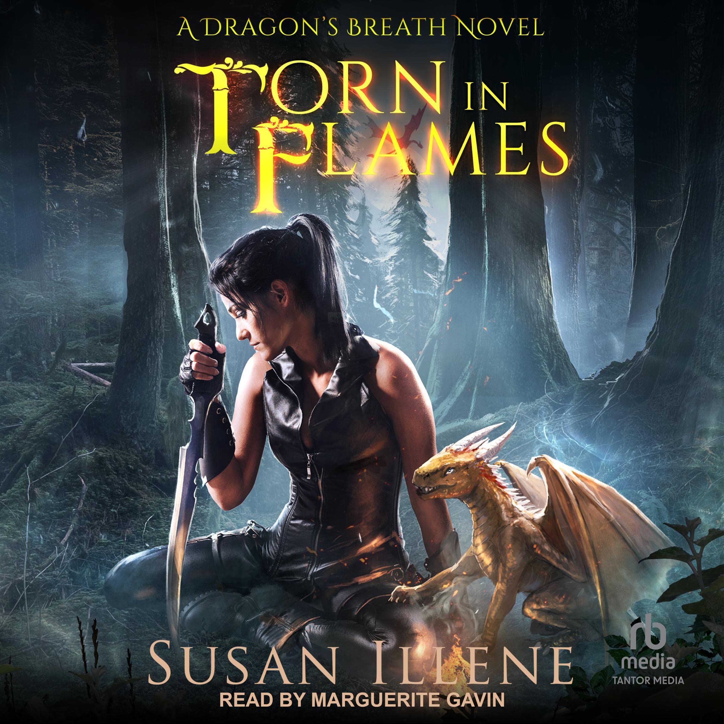 Cover art for Torn in Flames