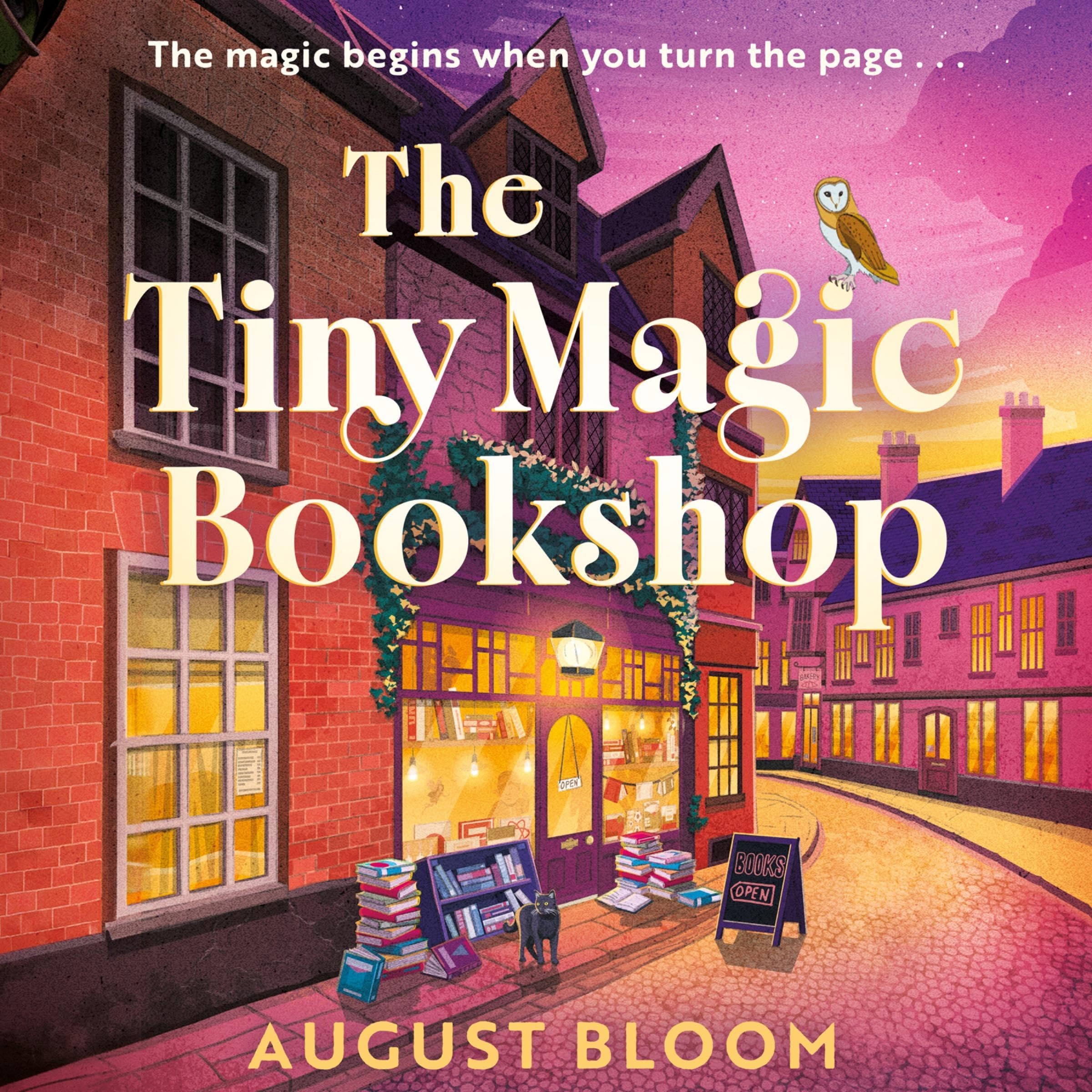 Cover art for The Tiny Magic Bookshop