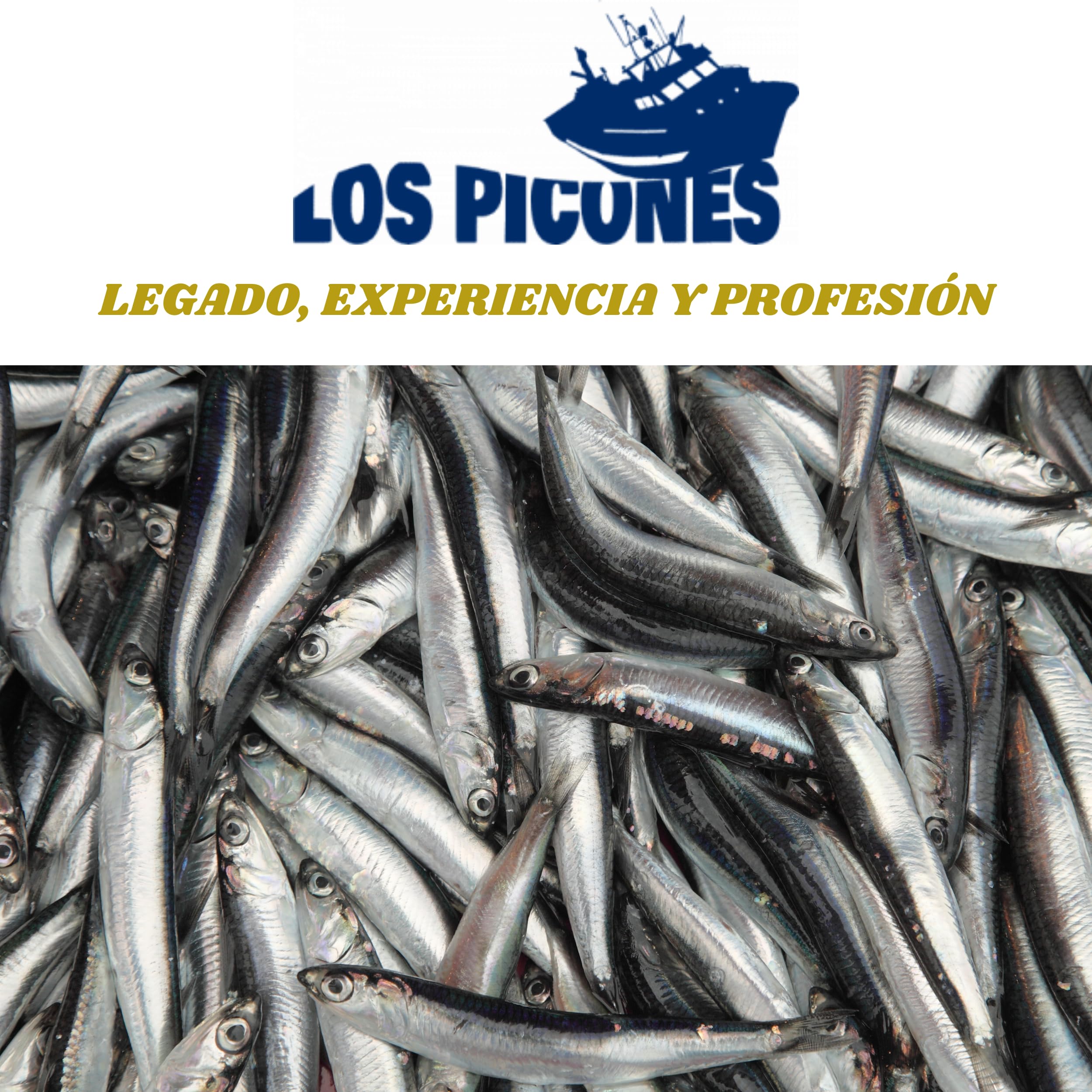 Los Picones Gourmet® Bonito del Norte Entero (Aprox. 1.500 kg) I Conservas de Pescado Gourmet I Pescado Fresco I Salazones y Ahumados I Aperitivos Gourmet I Tapas Españolas.
