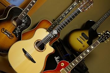 Jockomo Single Rose Guitar Inlay Sticker