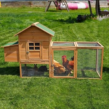 Morngardo Outdoor Chicken Coop for 2-4 Chickens, Wooden Hen House Poultry Cage Rabbit Hutch with Ramp, Nesting Box, Tray, Roosting Bar, 4 Access Areas