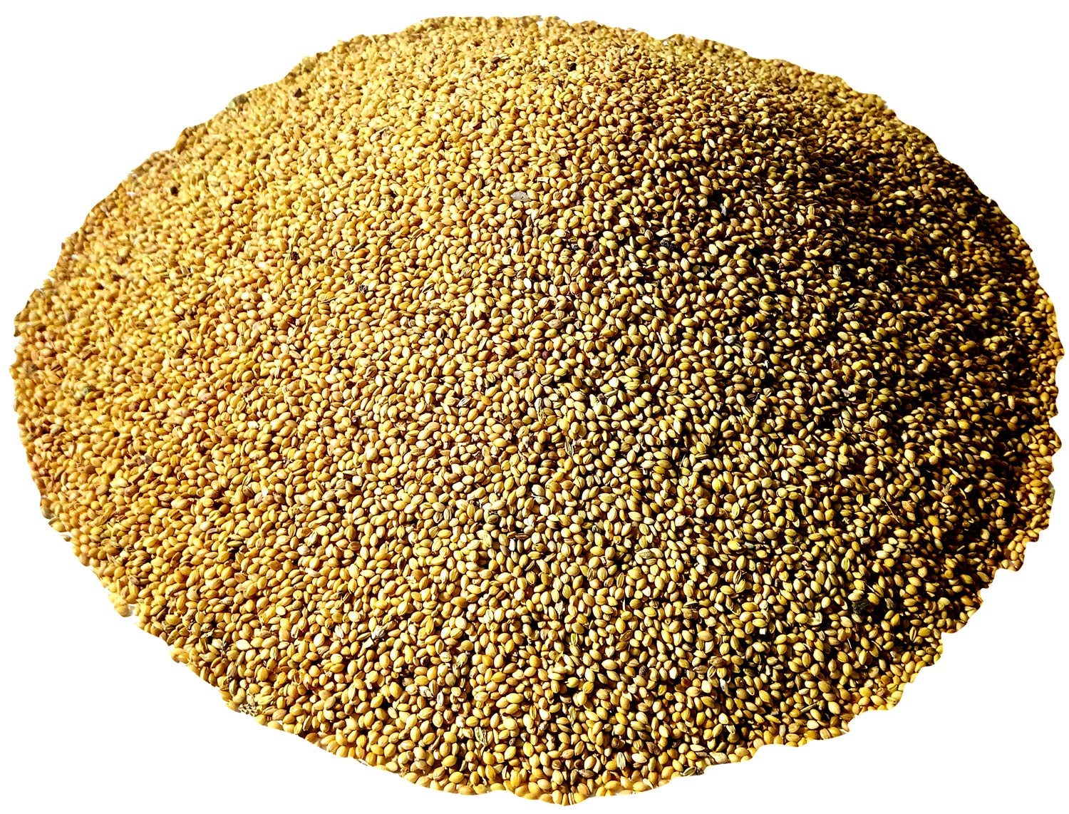 Sky Foxtail Seeds,Kangni,Thinai Millet Birds Seeds 100% Natural Birds Foods for Cockatiel,Love Birds,Silver Finches,Munia, Parakeets, Parrots, Budgies,Dove All Eating Small & BigBirds (B08425MV59) Amazon Price History, Amazon Price Tracker