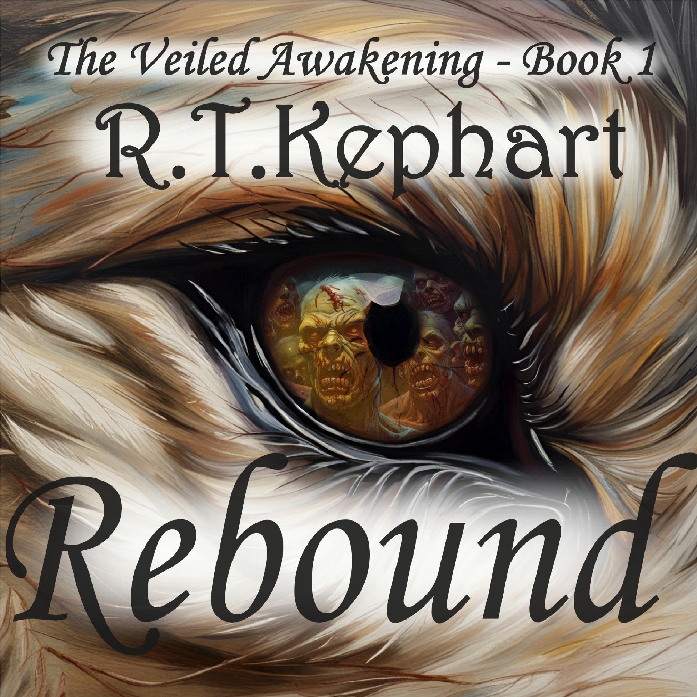 Cover art for Rebound