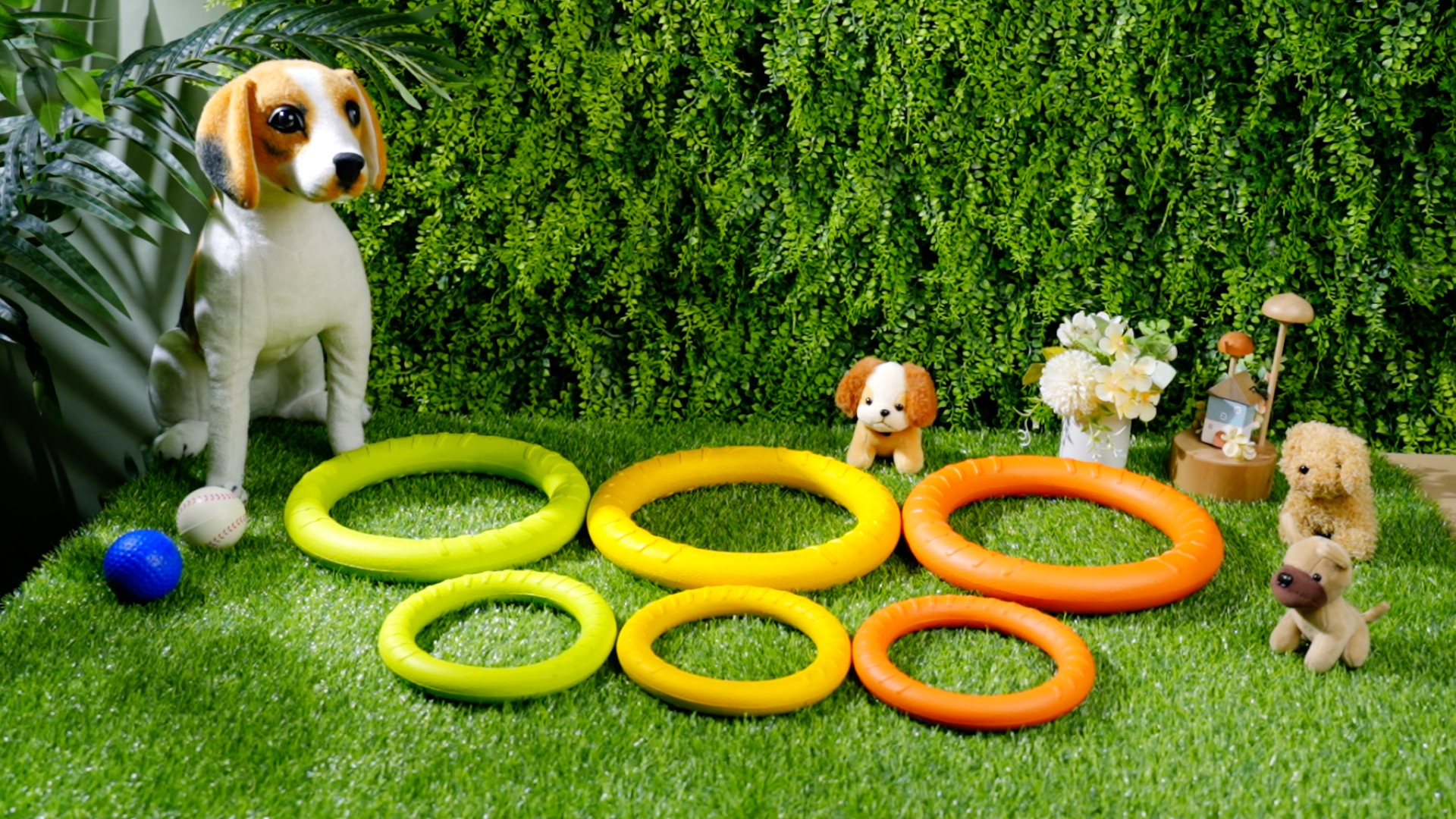 Best Pool Toys for Dogs: Top Fun & Durable Picks for Summer