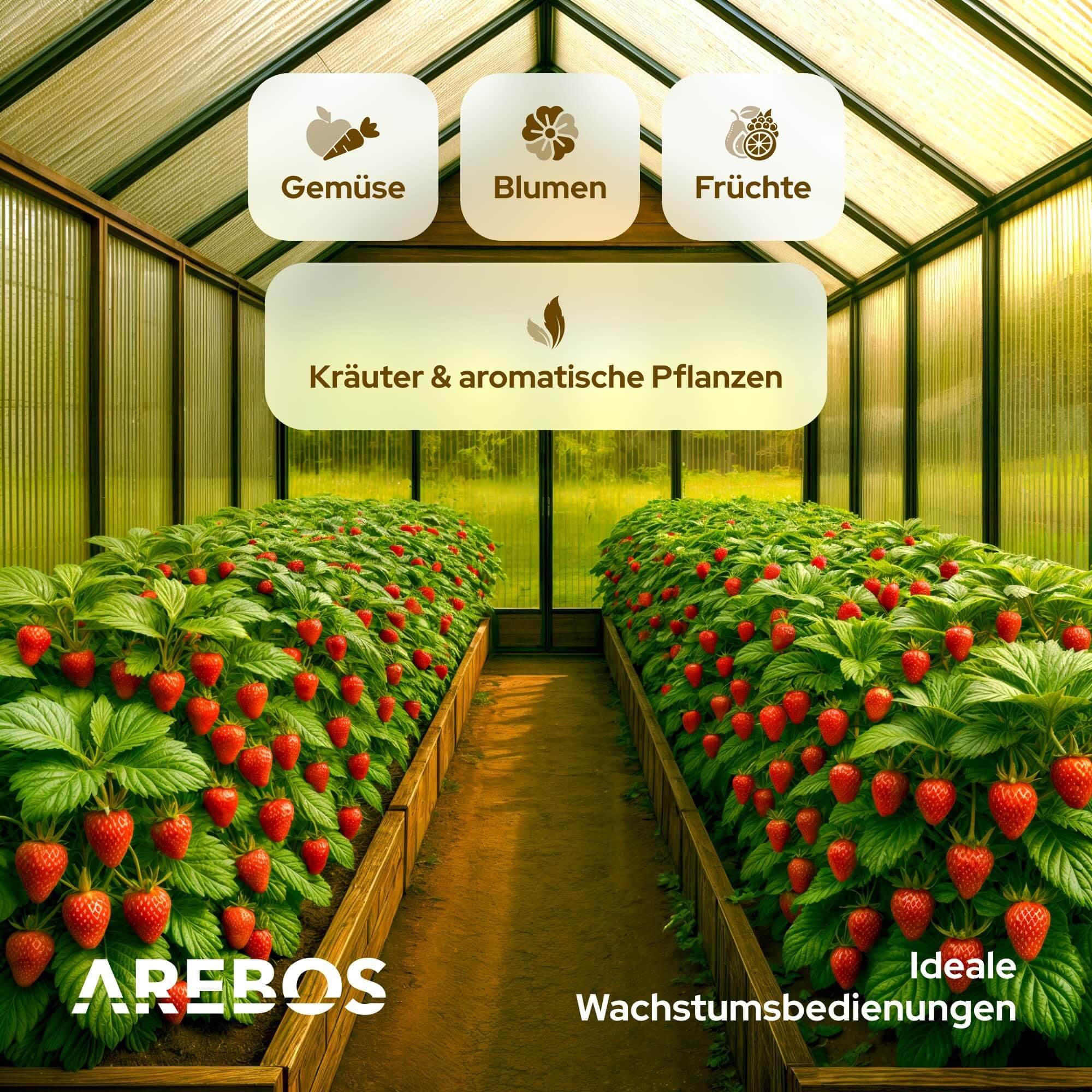 Arebos Doppelstegplatten 4mm Gewächshaus Platten | 14er Set 121x60,5 cm | Polycarbonat Hohlkammerplatten UV-beständig | Transparent Stegplatten | Carport Frühbeet Überdachung