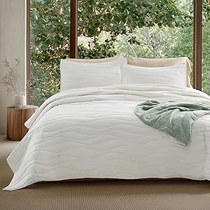 Bedsure Cooling Quilt - Cooling Comforter Queen Size, Moisture-Wicking and Silky Soft for Hot Sleepers and Night Sweats, Luxury Tencel Lyocell Cotton Bedspread, Lightweight & Breathable Cloud Quilt