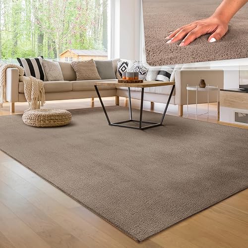 Paco Home Alfombra Moderna y Suave para Salón a Pelo Corto Lavable Fluffy Uni Efecto Piel Intemporal Elegante Antideslizante Fácil de Limpiar, tamaño:160x220 cm, Color:Taupe