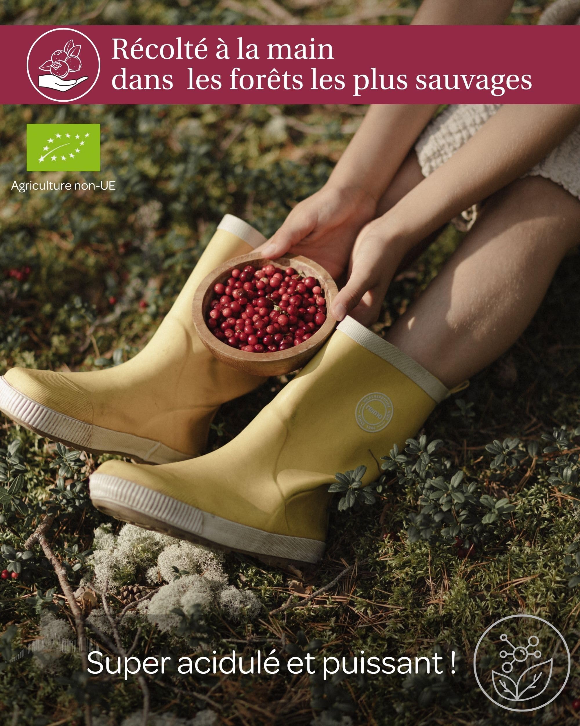 Jus de canneberge sauvage bio – 100% pur, pressé à froid, sans sucre ni eau ajoutés – 6 bouteilles en verre de 500 ml