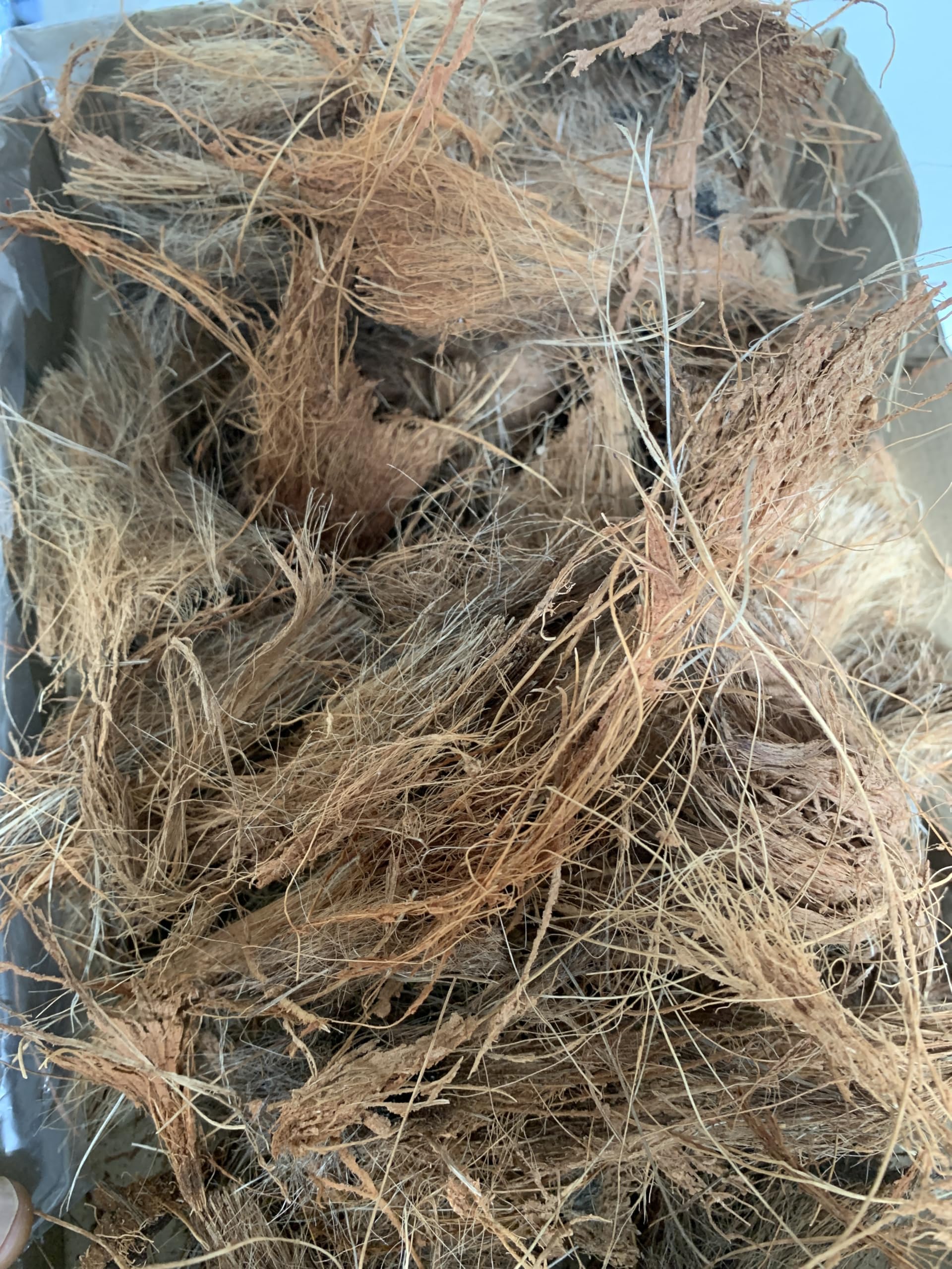 Natural Coconut Husk Fibres, Raw Coir Material, Brown, 100g, Natural Brown
