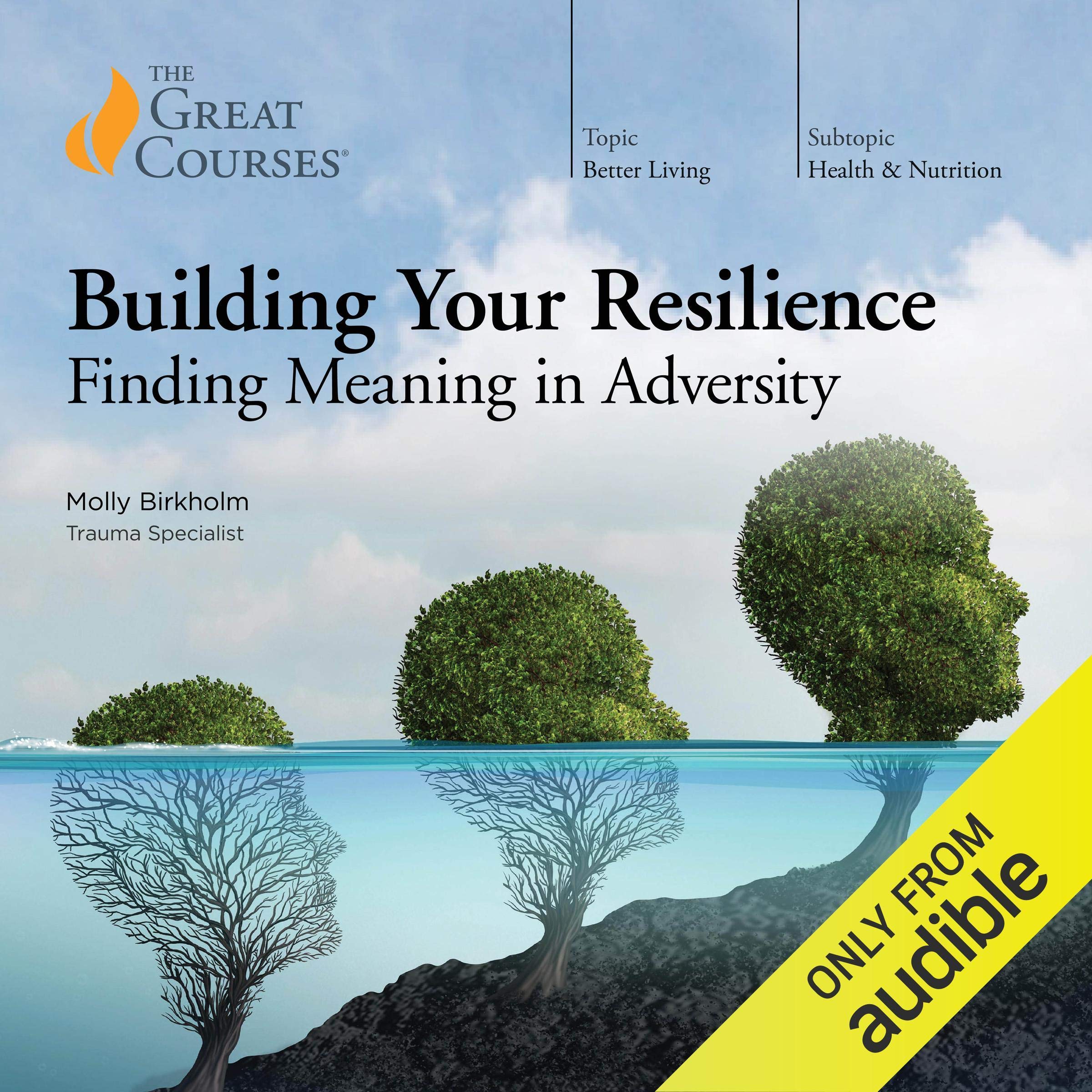 Cover art for Building Your Resilience