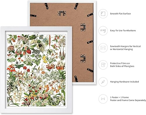 Miniatura 197 de Poster Master Póster vintage de orquídea, estampado de flores retro, arte de pared de plantas exóticas, arte botánico, regalo para hombres y