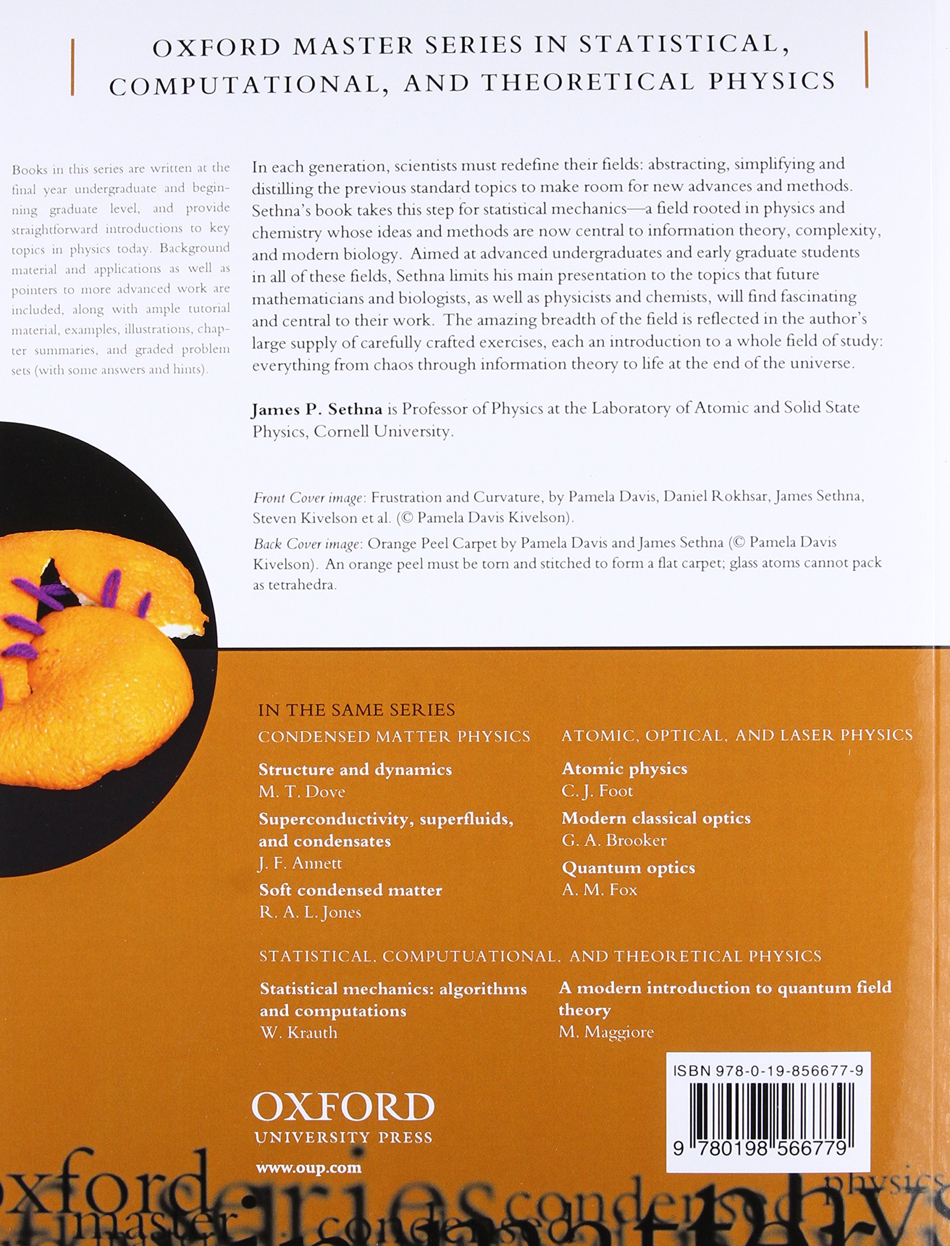 Statistical Mechanics: Entropy, Order Parameters and Complexity: 14