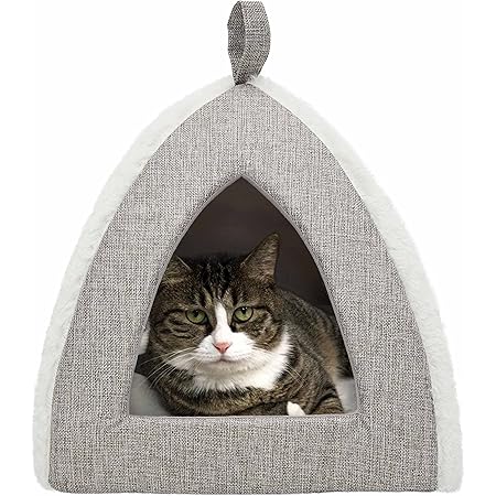 amazon cat igloo