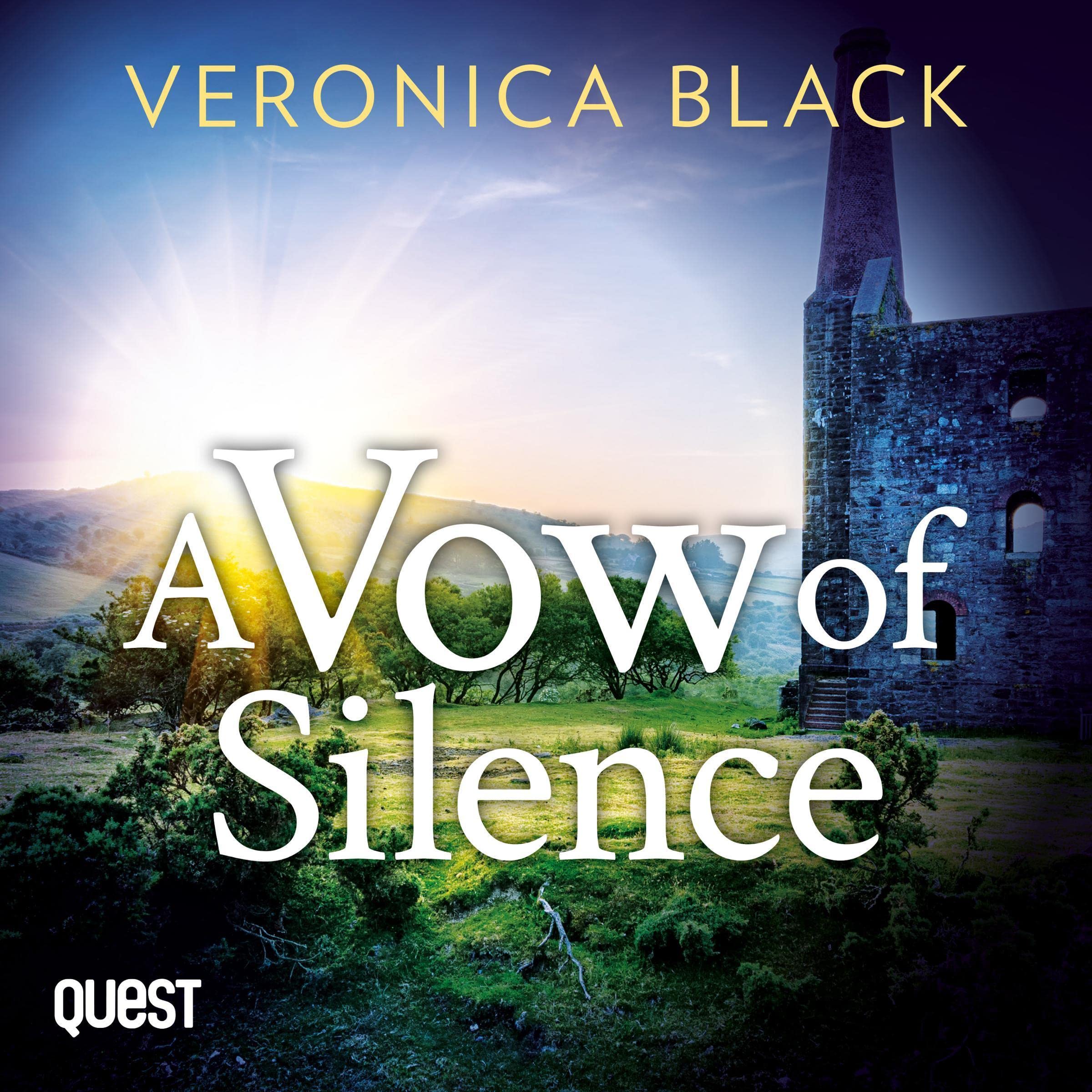 Cover art for A Vow of Silence