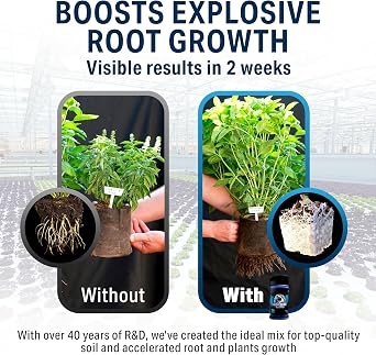 Great White Mycorrhizal Fungi 4 oz, Beneficial Bacteria for Plant Growth, Root Stimulator, Concentrated 3-in-1 Formula by Plant Success
