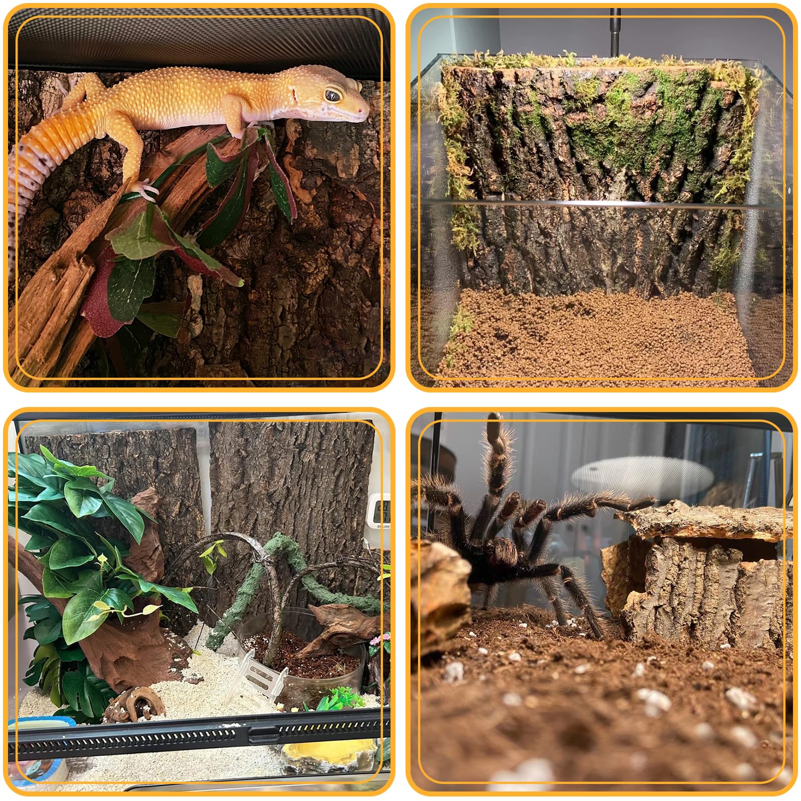 BNOSDM 4 piezas de terrario de corteza de corcho para reptiles, decoración de tanque de dragón barbudo para lagarto, dragón barbudo, rana, leopardo, geco, tortuga, serpiente, camaleón