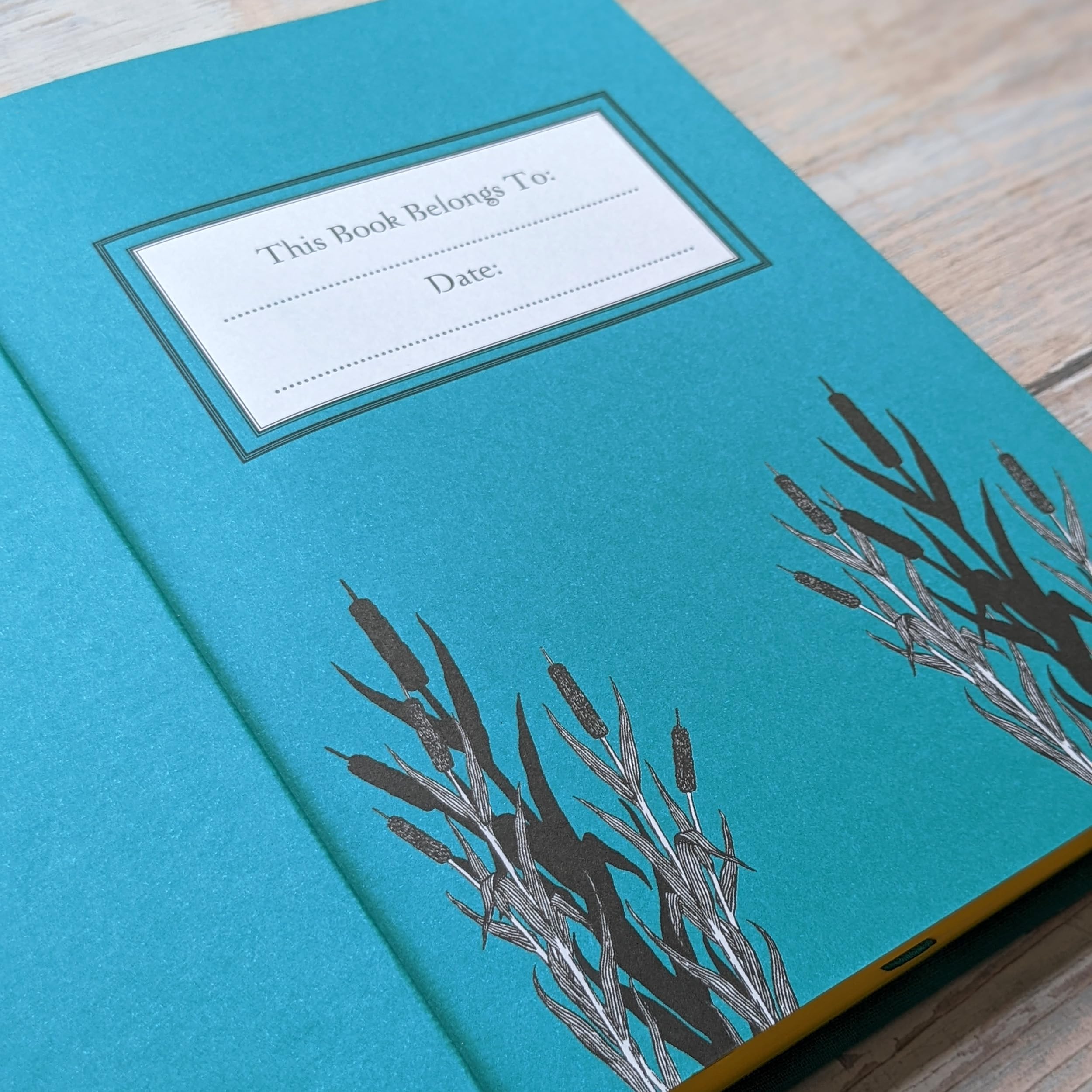 The Wind in the Willows