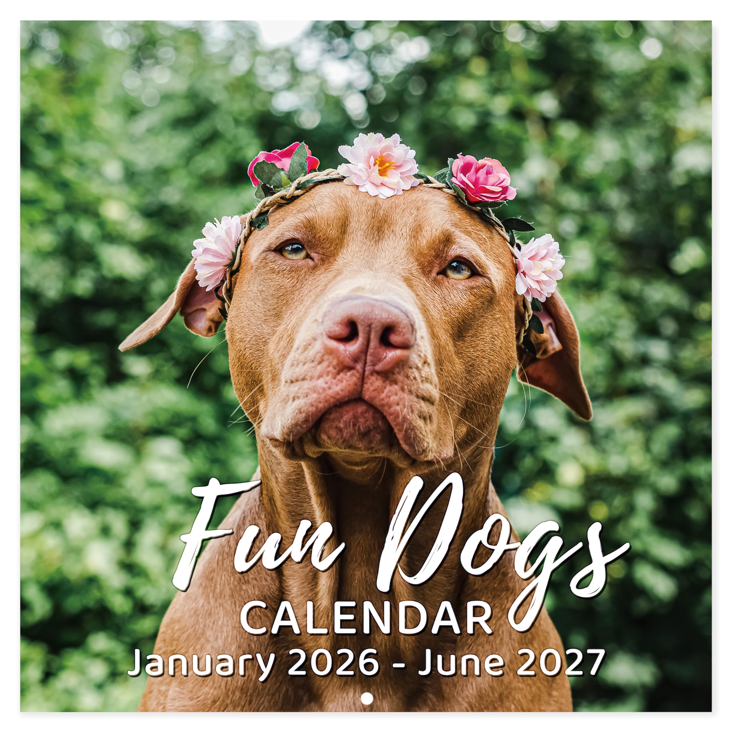 2026-2027 Calendar - 18-Month Wall Calendar 2026-2027 Funny Dog Calendars from Jan. 2026 - Jun. 2027, Calendar 2026 with Unruled Blocks, Holidays, 12"