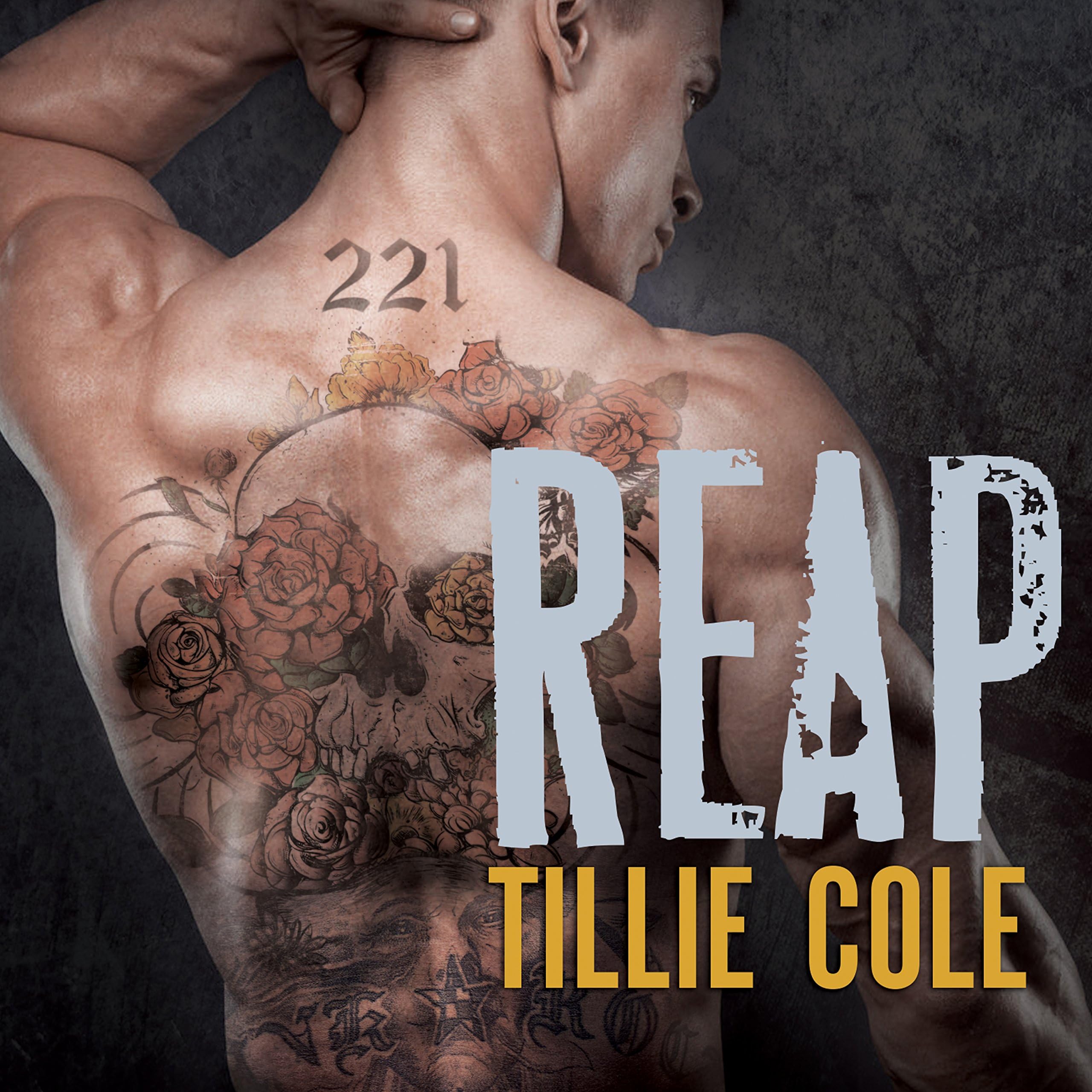 Reap: Scarred Souls Series #2