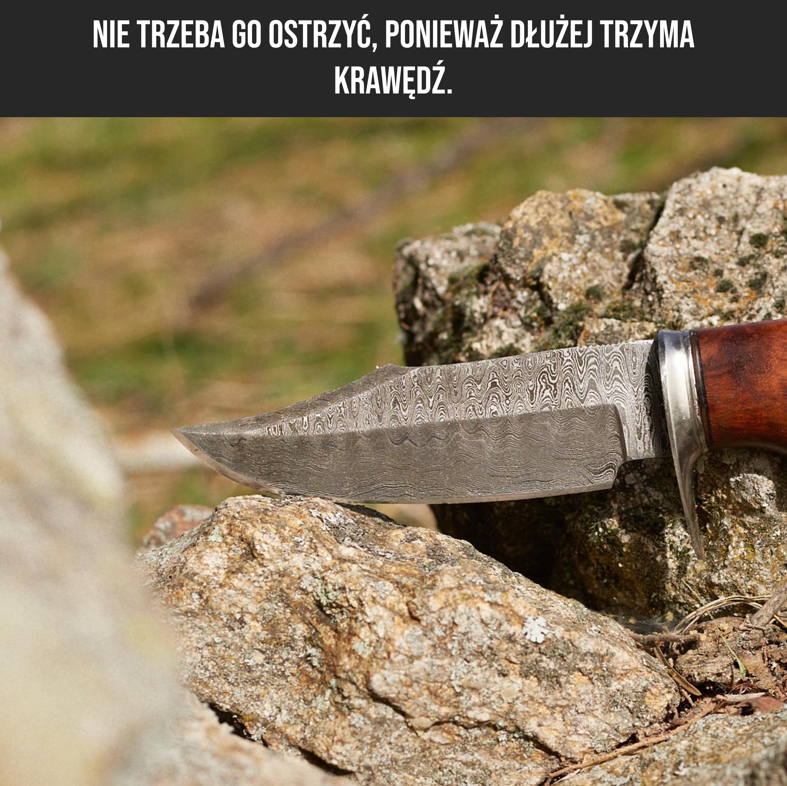 BIGCAT ROAR Ręcznie Wykonany Nóż Myśliwski z Damastu - Nóż Stały do Bushcraftu z Pokrowcem i Rączką z Orzecha - 10″ Nóż do Skórowania EDC - Myśliwy na Niedźwiedzie