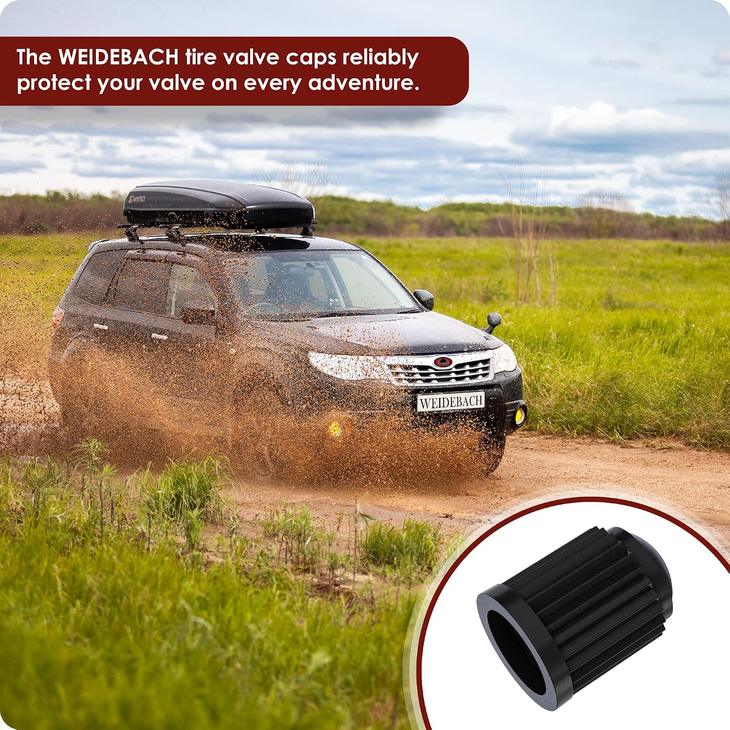 WEIDEBACH® Perfect Fitting tire Valve caps car, 25 Pieces, stem Cap Suitable for Bicycle, tire dust Cap with Seal for Stable tire Pressure, Bicycle tire caps, car tire Valve caps, Bike tire Cap…