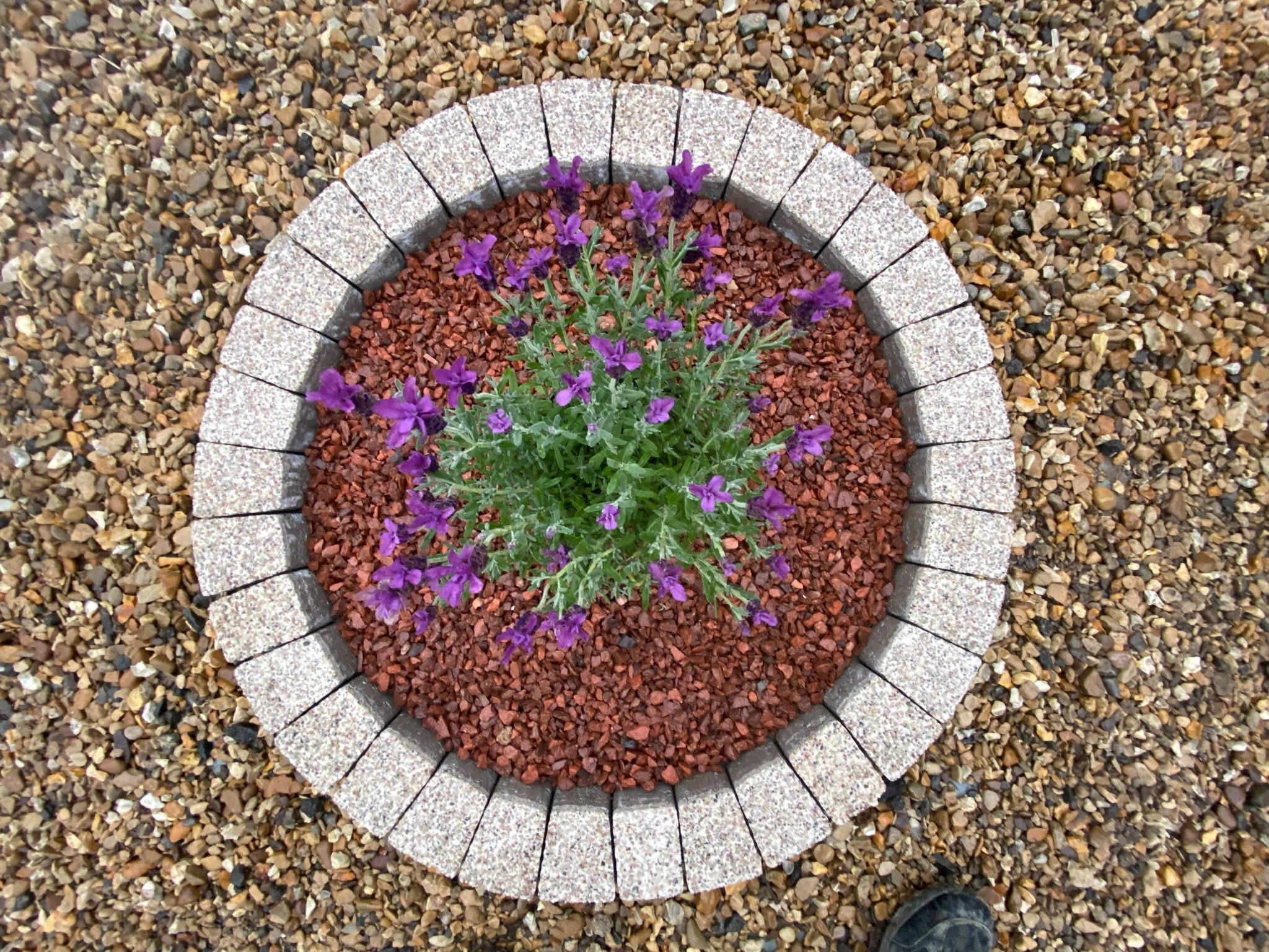 Garden Granite Circle Tree Surround Grass Border Paving Slab Stone Concrete Water Feature (78, Cream)