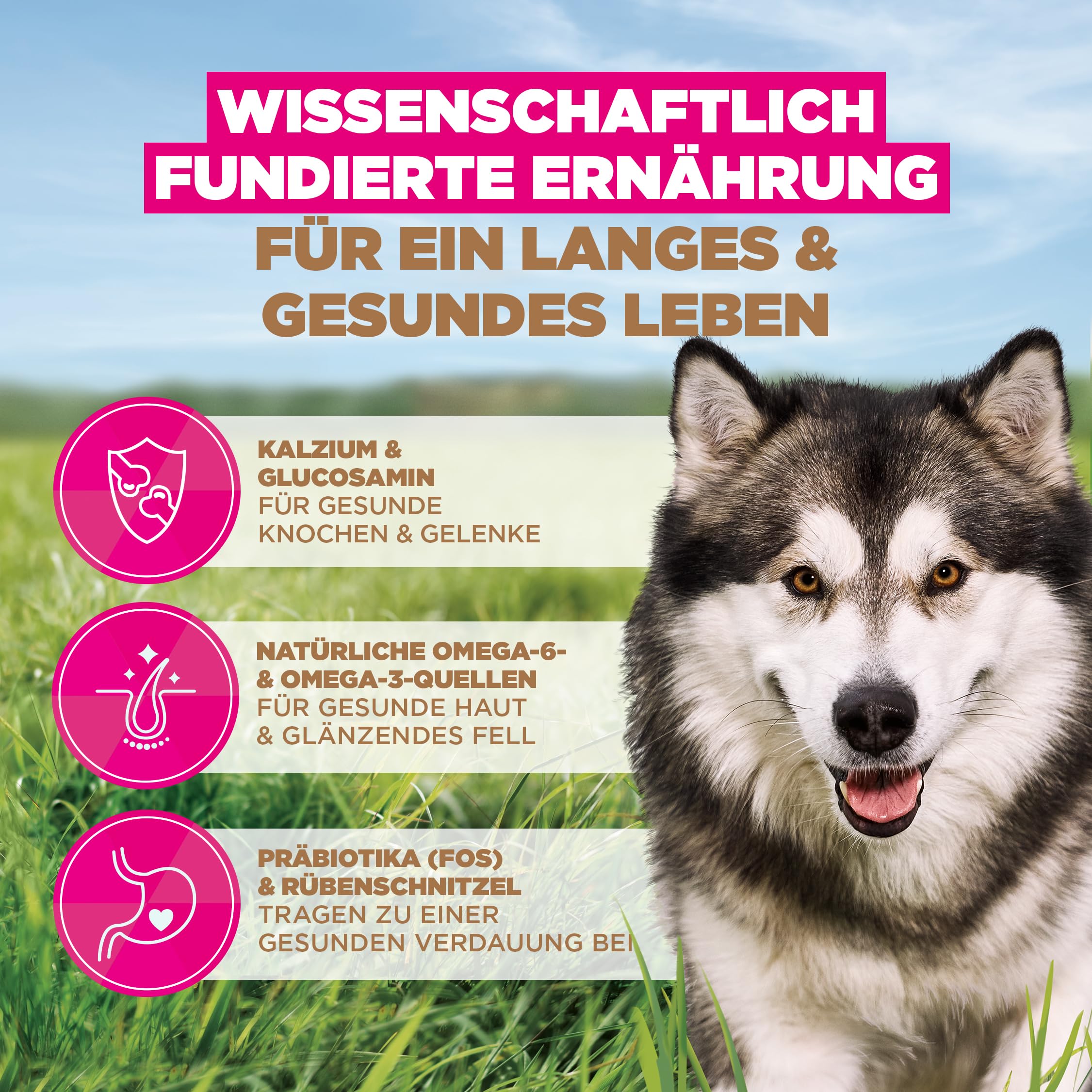 Eukanuba Hundefutter getreidefrei mit Fisch für große Rassen, Premium Trockenfutter ohne Getreide für ausgewachsene Hunde, 12 kg