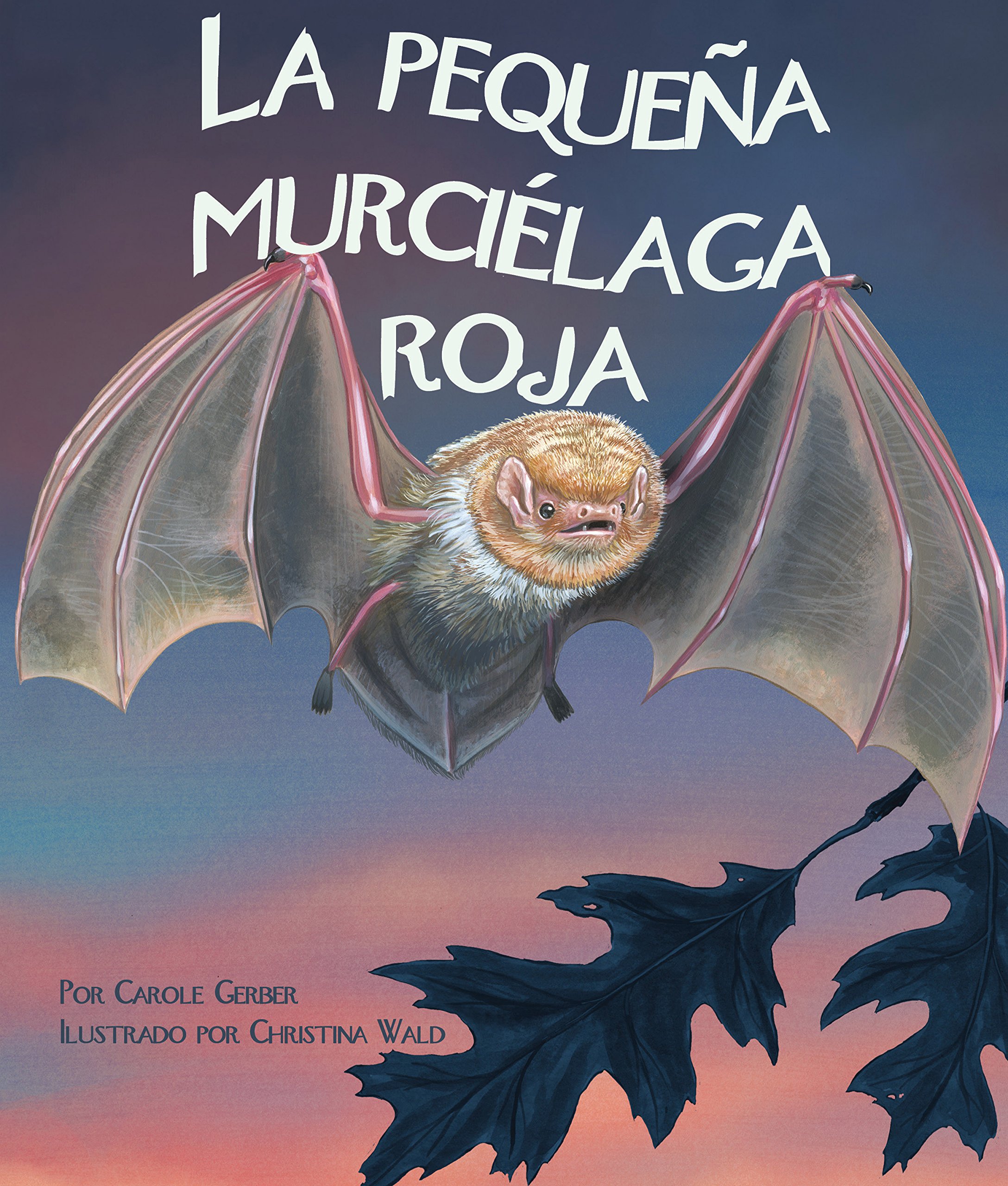 La Pequeña Murciélaga Roja (Little Red Bat)