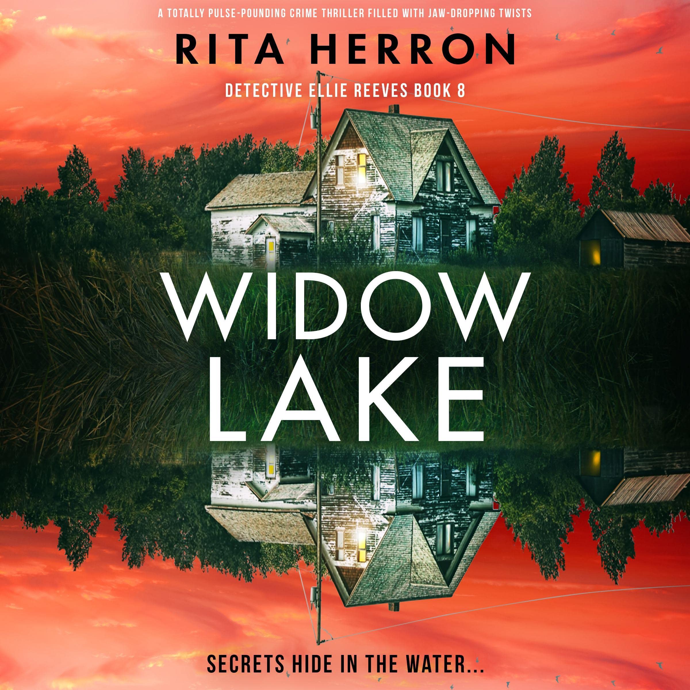Cover art for Widow Lake