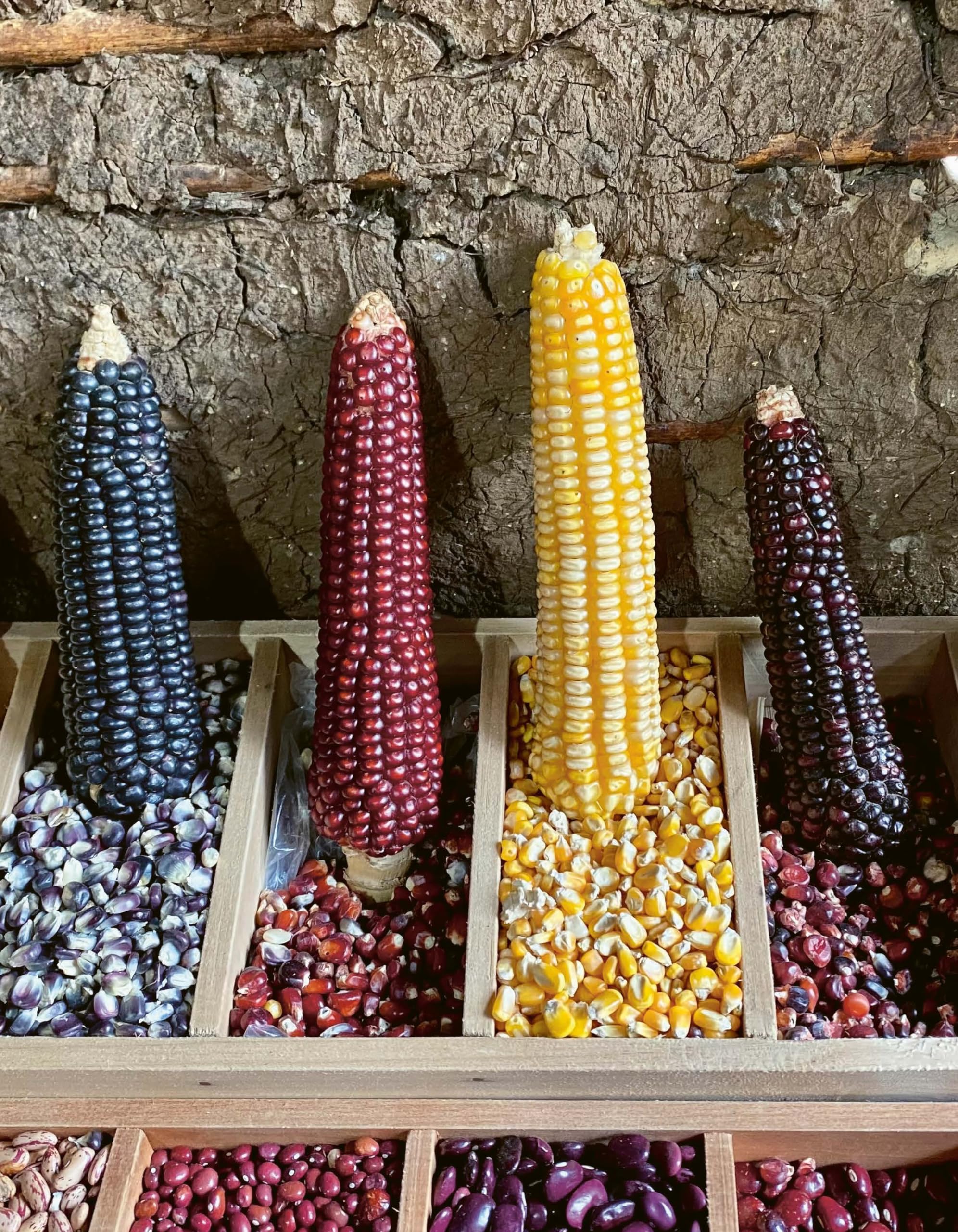 Mexique, les meilleures recettes