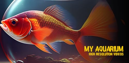 My Aquarium
