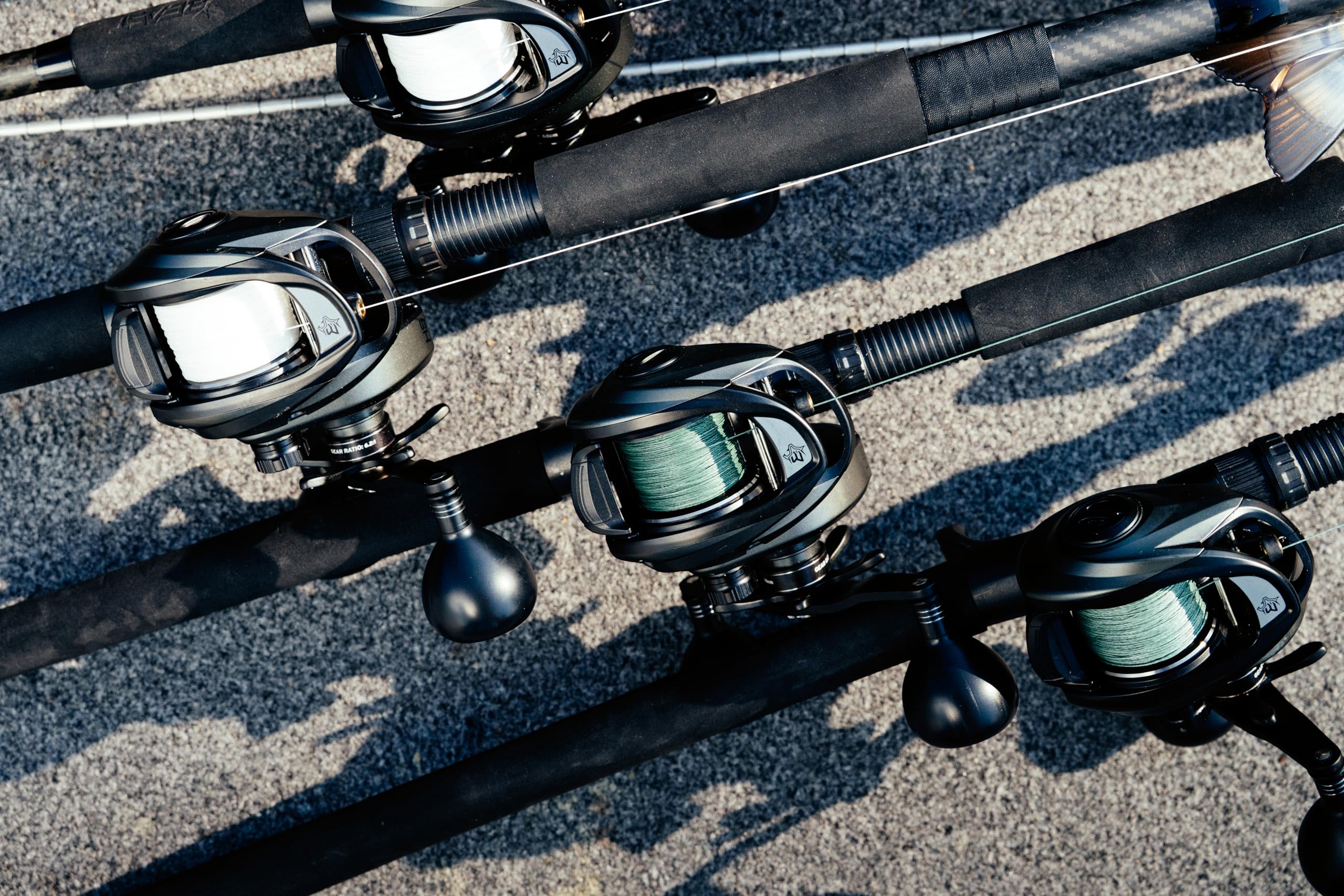 Abu Garcia Beast Low Profile Mulinello da casting | Mulinello da pesca per predatori in acqua dolce e salata | Rapporto di trasmissione 7,3:1 | Freno Power Stack in carbonio | Opzioni multiple