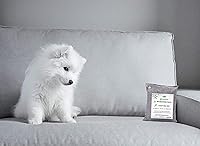 Vista 2 de Nature Fresh Bolsas purificadoras de aire Bolsas de carbón absorbentes de olores (paquete de 4)