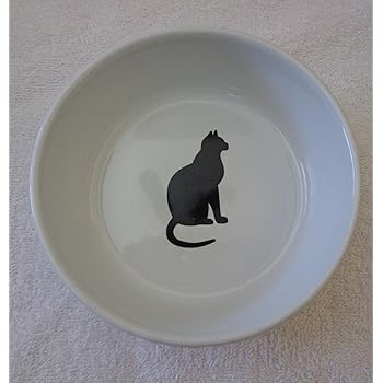whisker city cat bowl