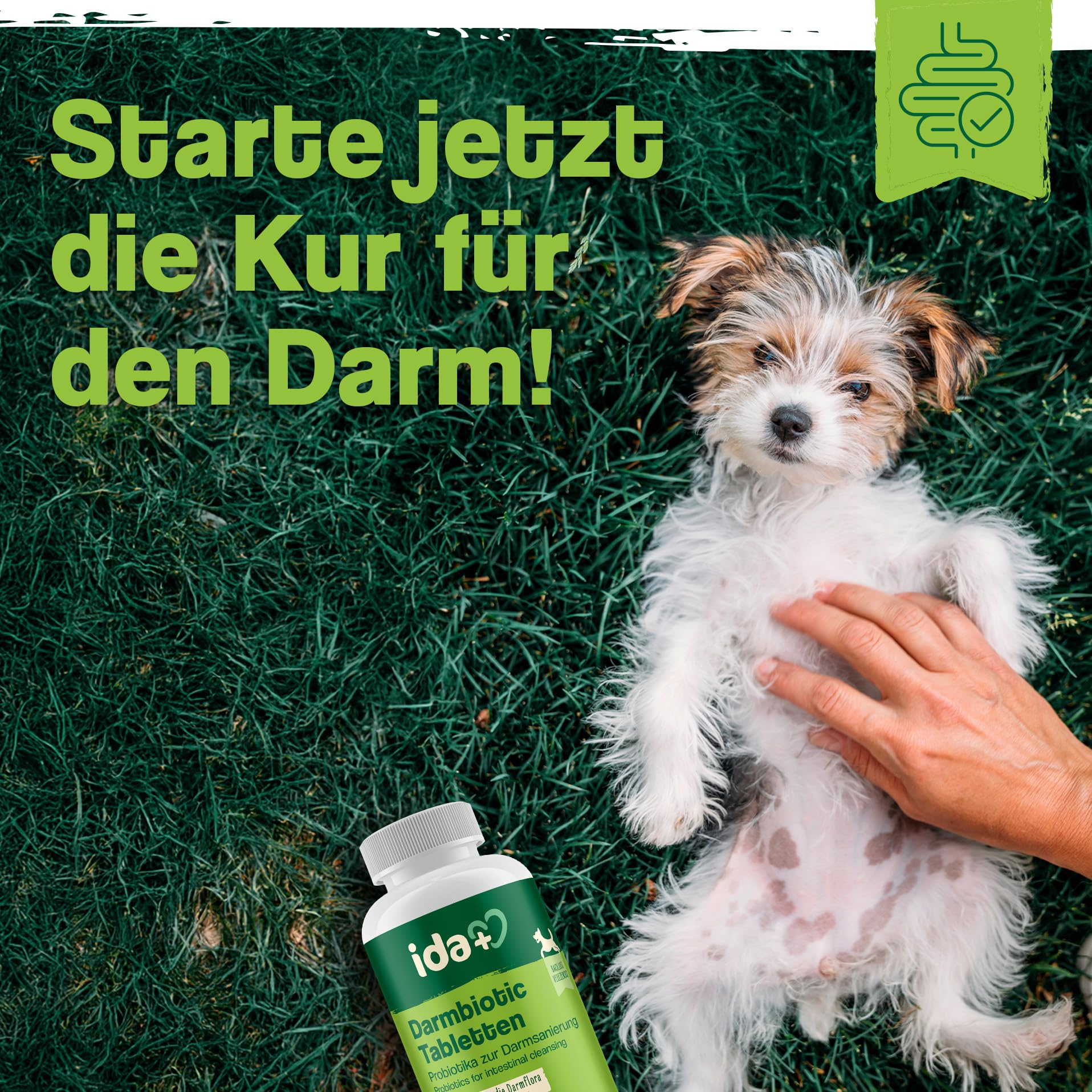 Ida Plus Darmbiotic – Probiotika zur Darmsanierung für den Hund - Darmflora aufbauen nach Durchfall - gesunde aktive Darmbakterien – Immunsystem – Regulierung Verdauung – 120 Tabletten