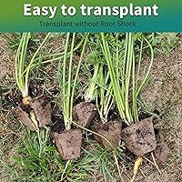 Vista 6 de Bandejas de inicio de plántulas de 200 celdas con agujeros de drenaje, 20 macetas de turba biodegradables, kit de inicio de plántulas, bandejas