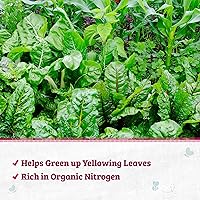 Vista 3 de Back to The Roots Harina de sangre 100% orgánica Fabricada en los EE. UU. Nutrición premium para jardinería de plantas de interior y exterior