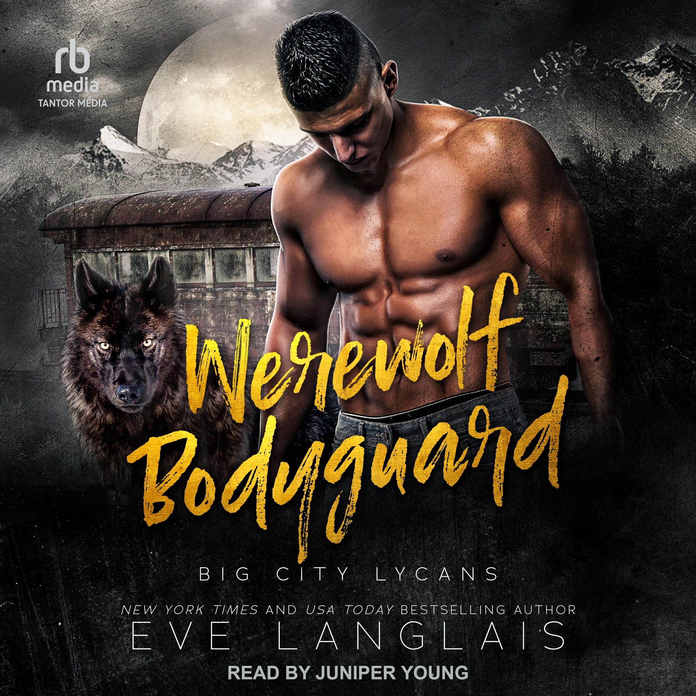 Werewolf Bodyguard (Big City Lycans, 4)